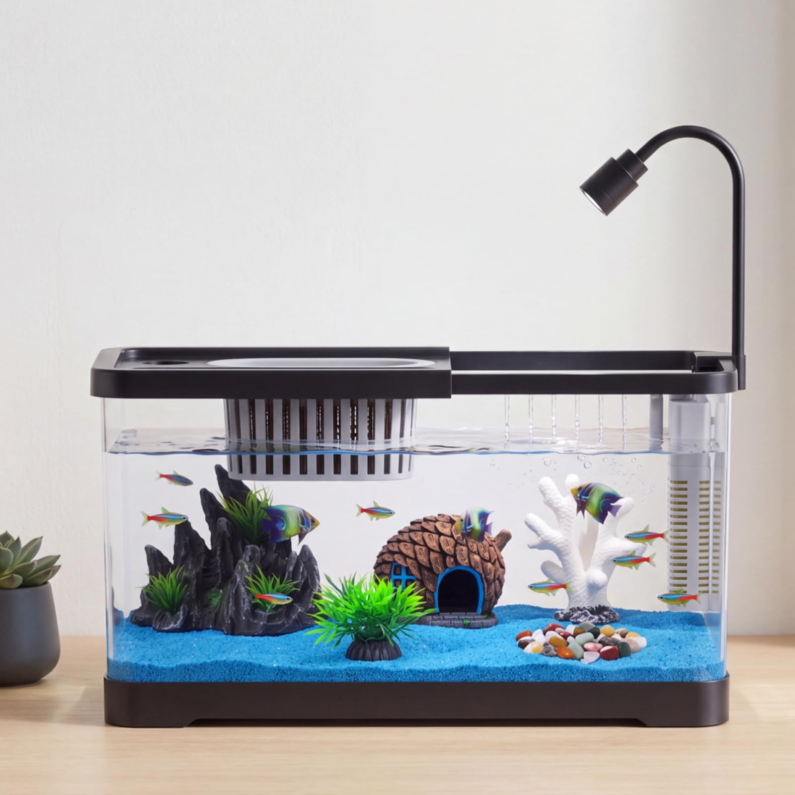 Fish Tank Starter Kit With Fil - огляд і ціна Betta Fish Tank