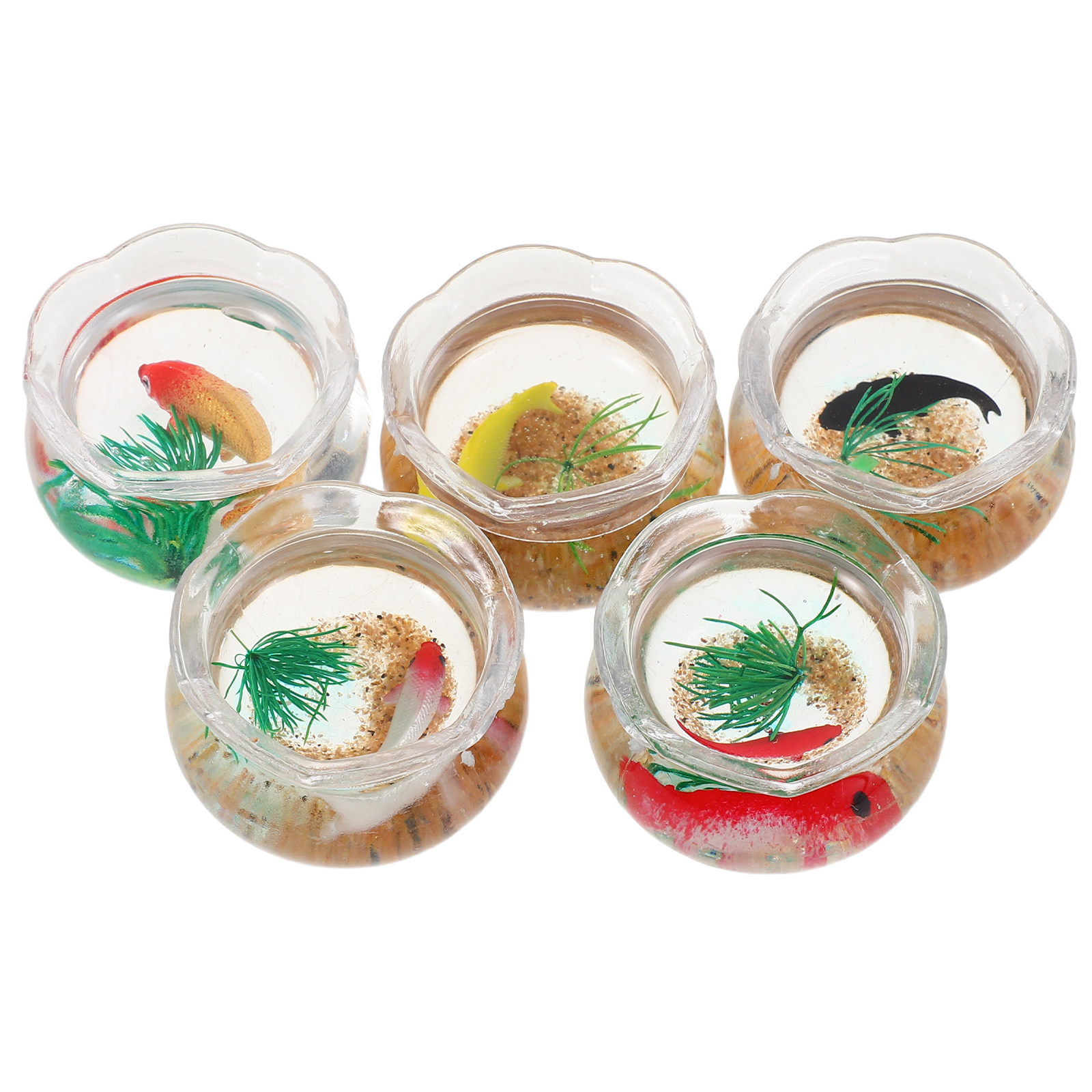 5pcs Miniature Koi Fish Tank:  - огляд і ціна Aquarium Plants